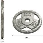 Only Supports Self Pickup  1-inch Standard Cast Iron Weight Plates For Strength Training And Weight Lifting, Multiple Weights - Image 7