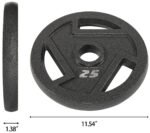 Only Supports Self Pickup  Cast Iron Flat Weight Plates For Strength Training And Weight Lifting, Olympic Or Standard, Multiple Sizes - Image 7