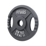 Only Supports Self Pickup Olympic 2-Inch Cast Iron Plate Weight Plate For Strength Training And Weightlifting, 25LB Pair - Image 4