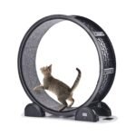 Cat Exercise Wheel With Pedometer Cat Treadmill For Pet Health Black - Image 2