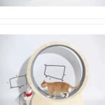 Special Toys For Cat Treadmill Roller - Image 4