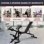 Adjustable Weight Bench Combo, Bench Press Combo, Home Gym Weight Bench With Squat Rack, Leg Extensions, Teacher Curls And Weight Storage--Only Supports Self Pickup - Image 5